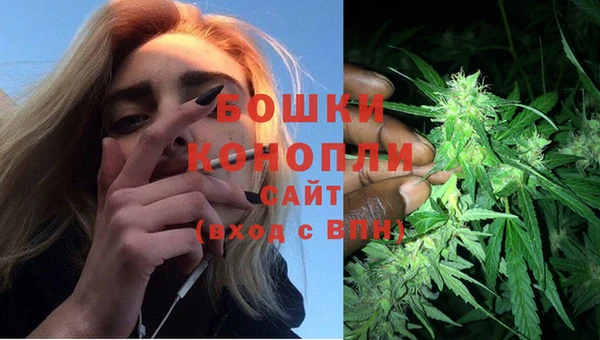 стаф Бронницы