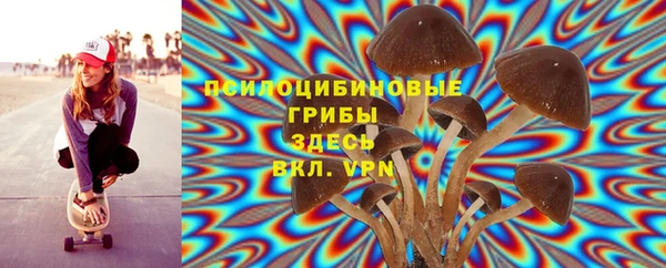 круглые Богданович