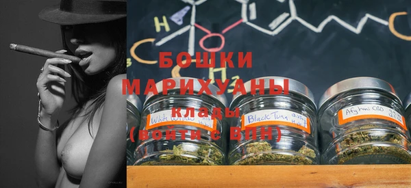 стаф Бронницы
